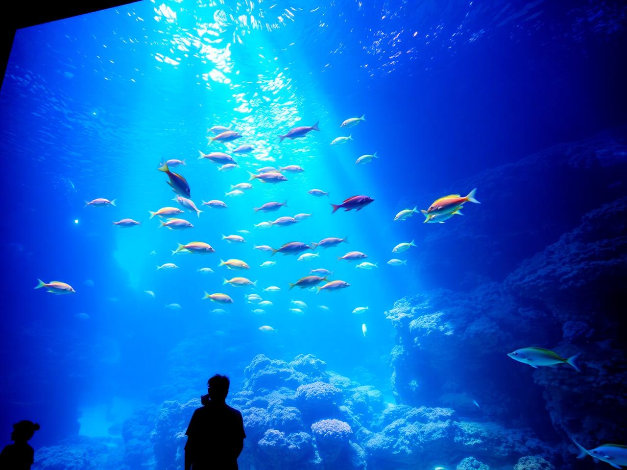 250,000-square-foot aquarium downtown. Penguins, sharks, mangrove bay walkthrough, and a coral reef tank that ranks among the best on the East Coast.