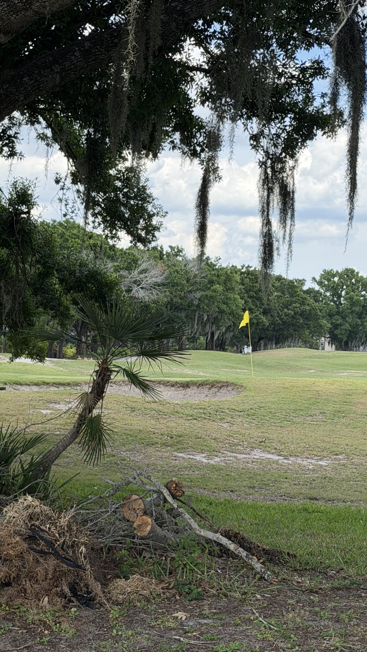 Caloosa, Cypress Creek, Sandpiper, Scepter, Renaissance, Freedom Fairways, and the two inside Kings Point.