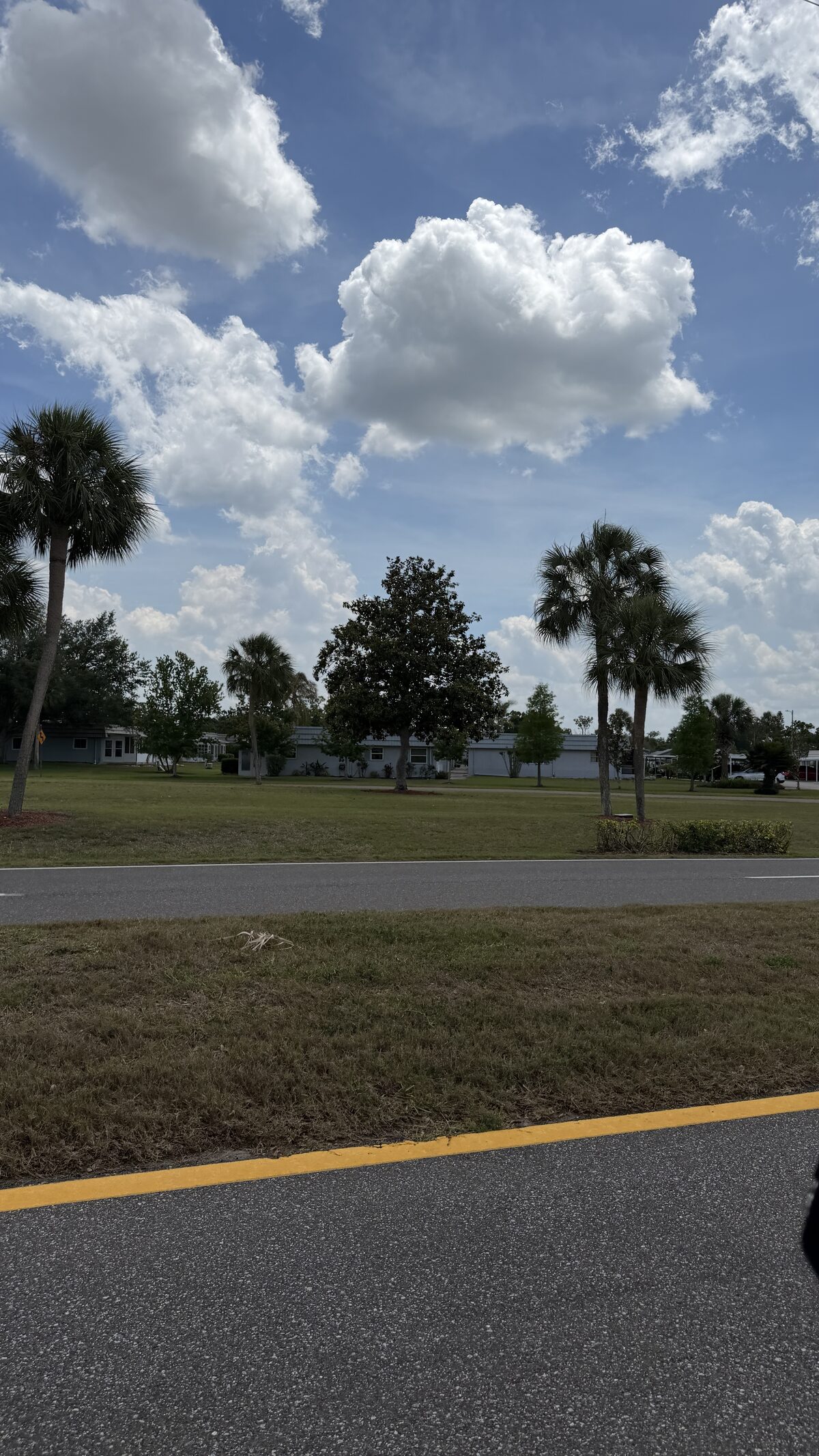 Fairway with palms inside Kings Point