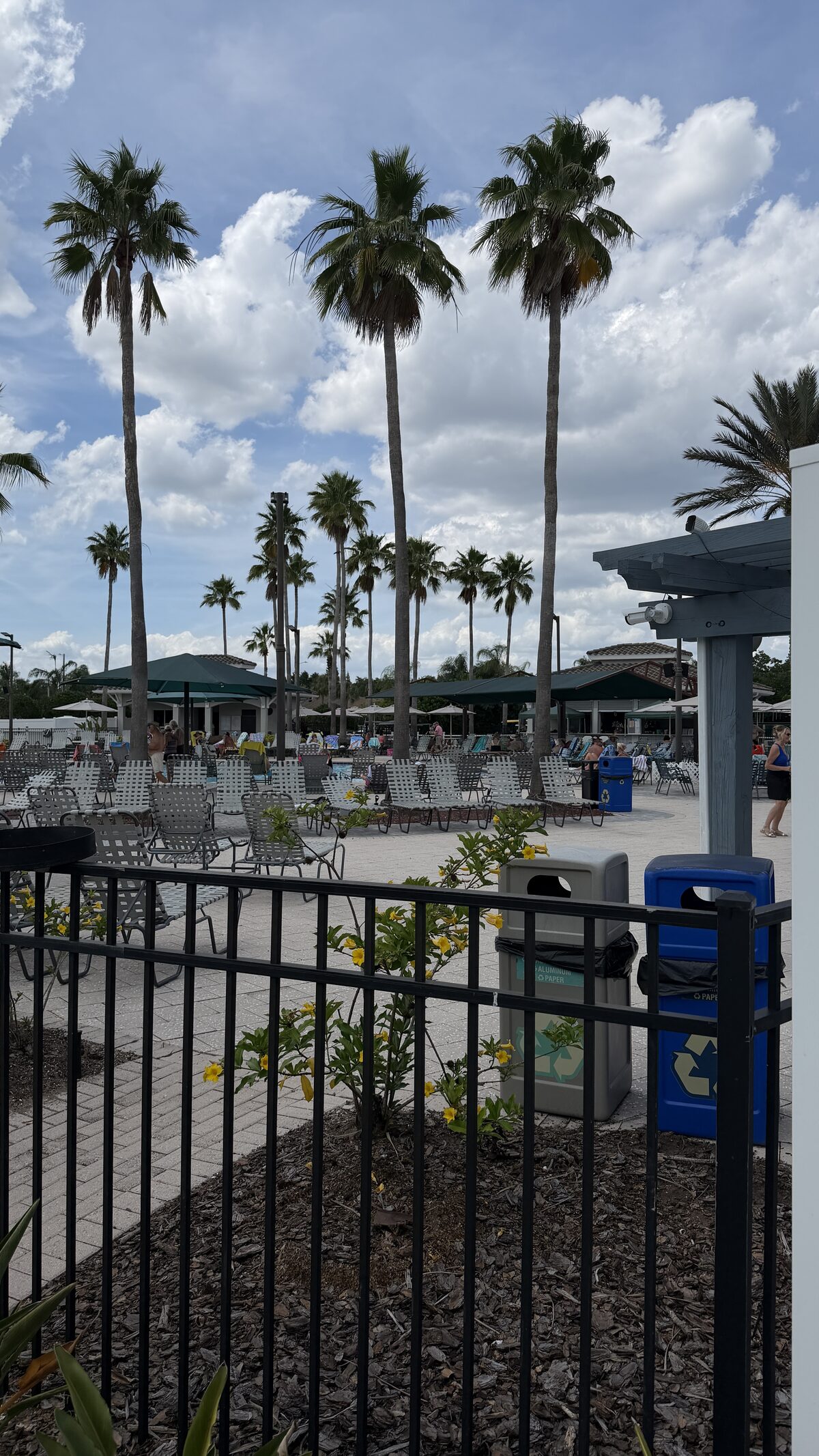 Renaissance clubhouse with palms