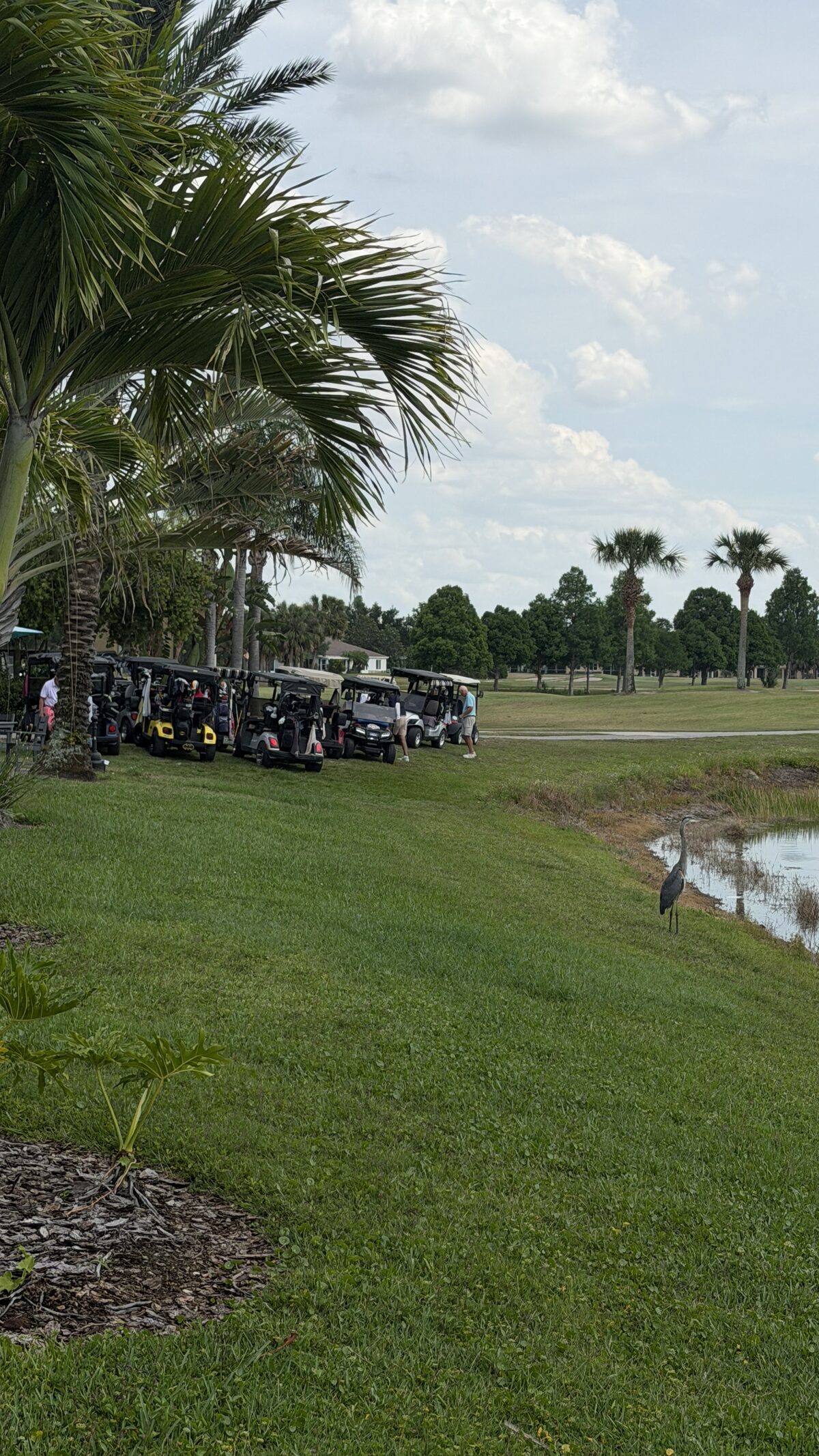 Row of golf carts at Renaissance