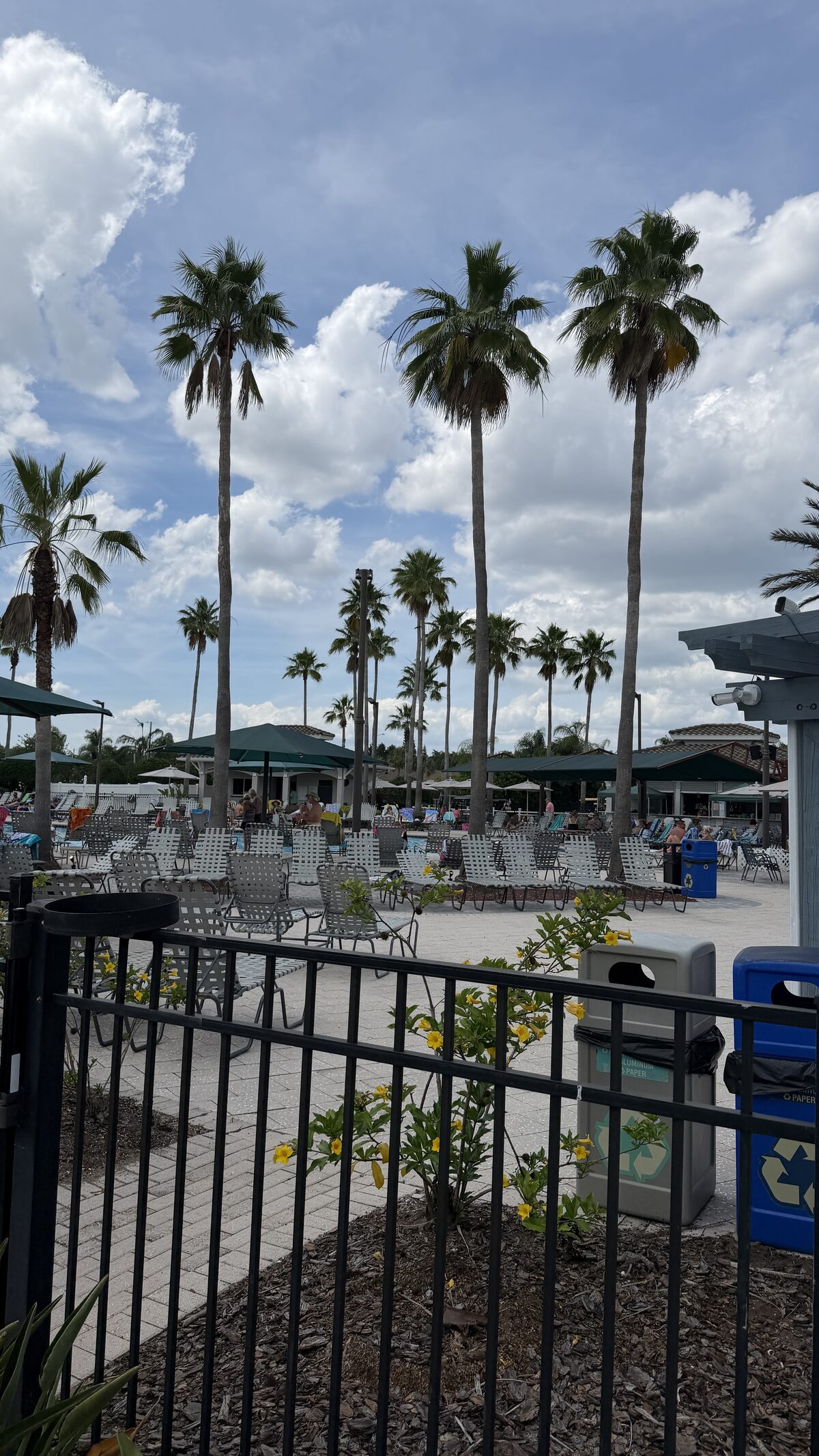 Pool and pickleball gate at Renaissance
